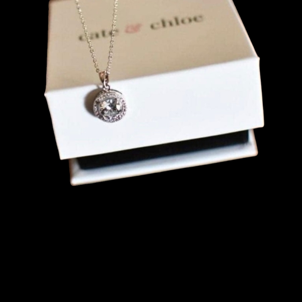 Cate & Chole Necklace the Holidays are fast approaching take a look.